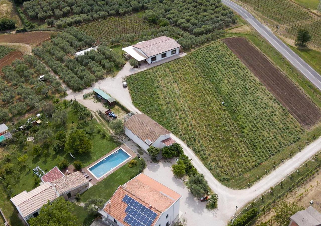 Serre Casa Agricola Scorziello别墅 外观 照片